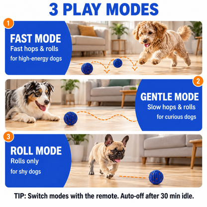 ZOOMI™ Interactive Dog Ball